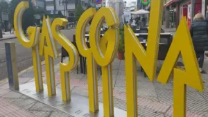 gascona oviedo